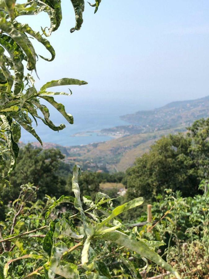 La Terrazza Di Carmen E Fausto Apartment Cetraro Bagian luar foto